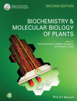 Biochemistry & Molecular Biology of Plants.pdf